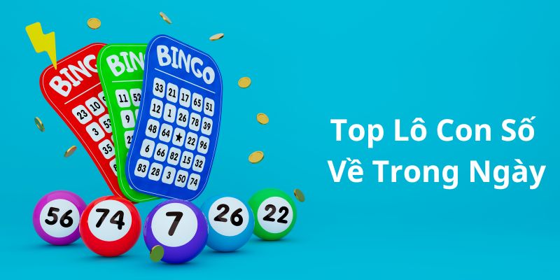 Top lô là những con số về trong ngày